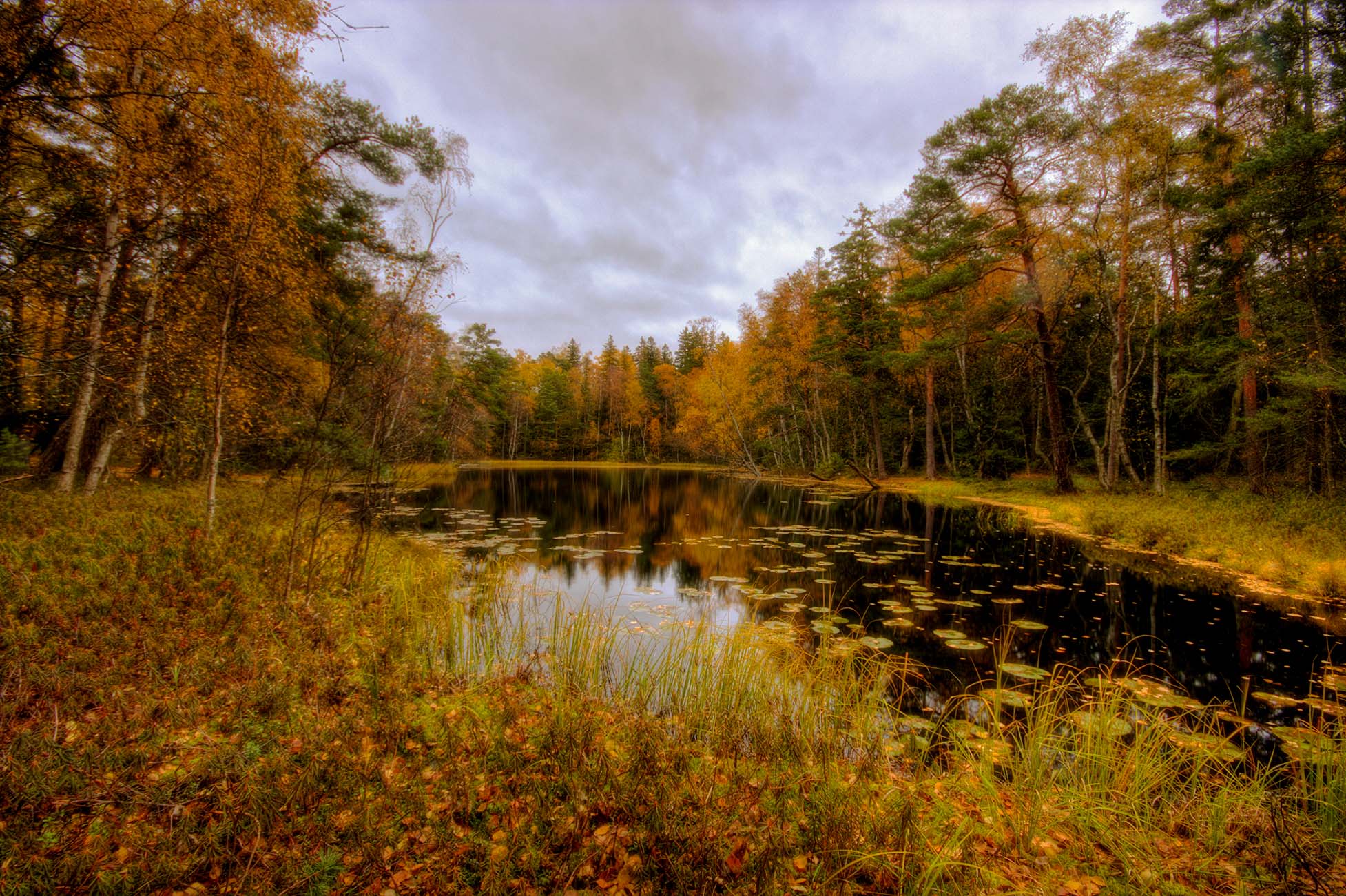 Kruunuvuorenlampi