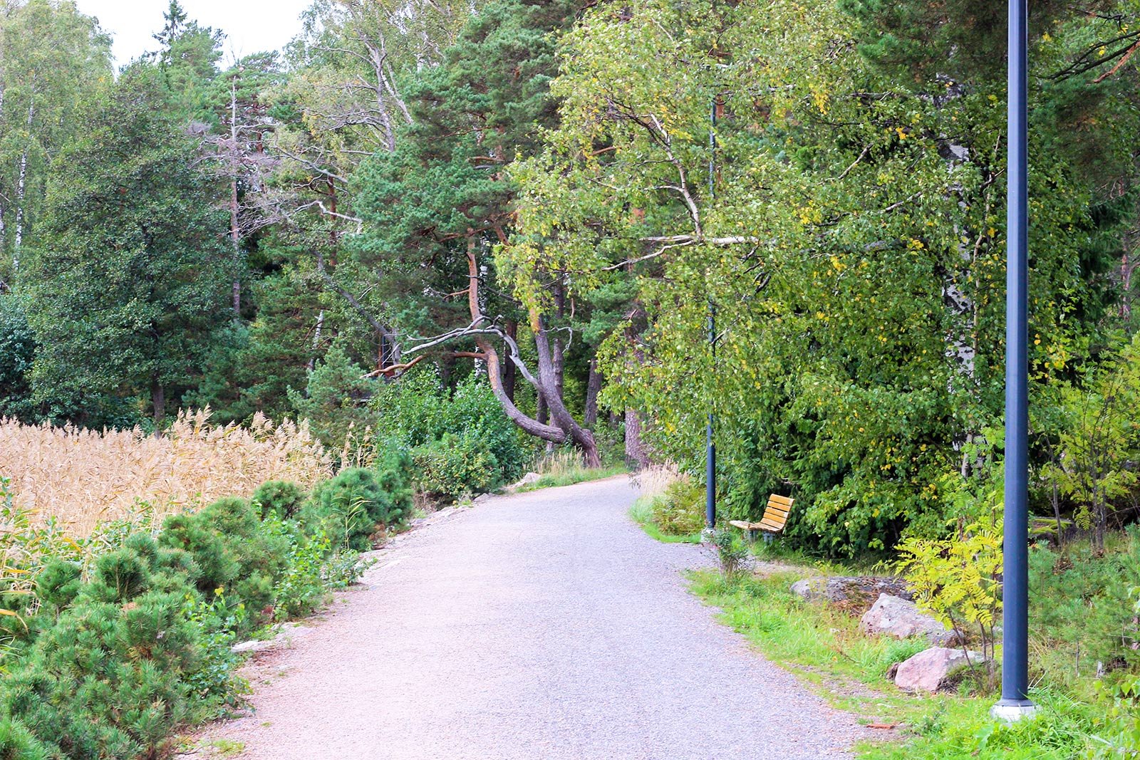 Koukkuniemi-4
