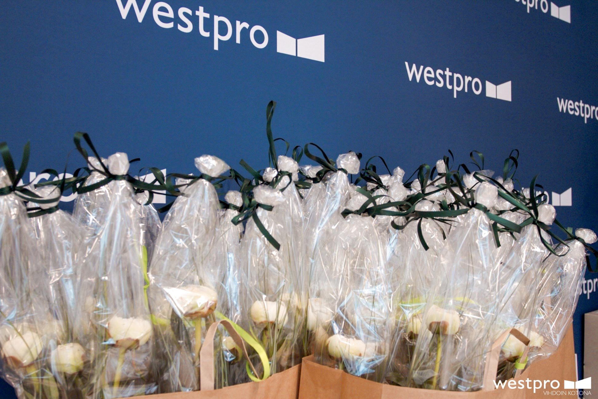 Westpro-Portus,-Verkkosaari-kukat